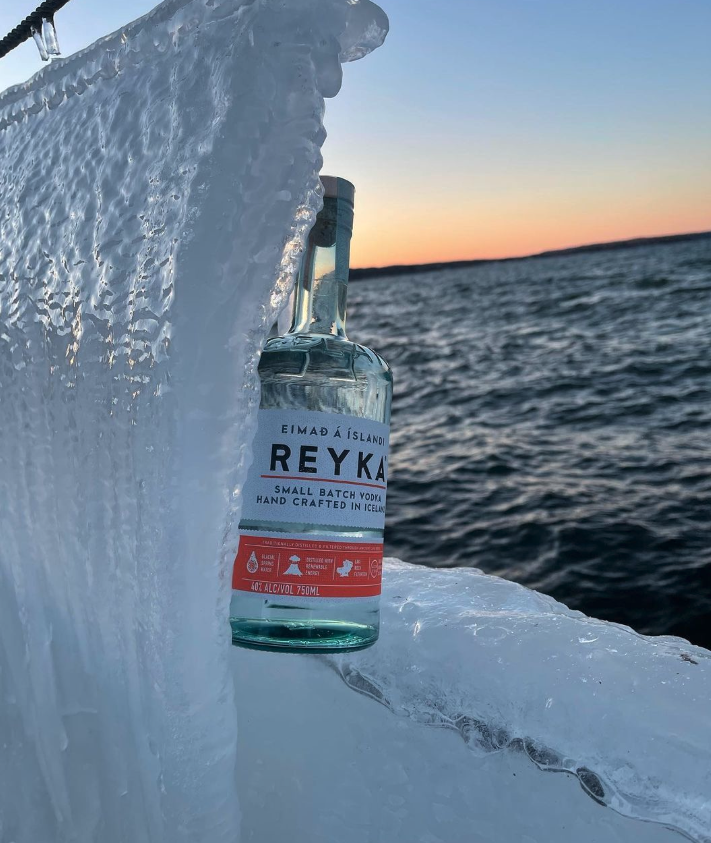 Cocktail Class Taste of Iceland Seattle 2022